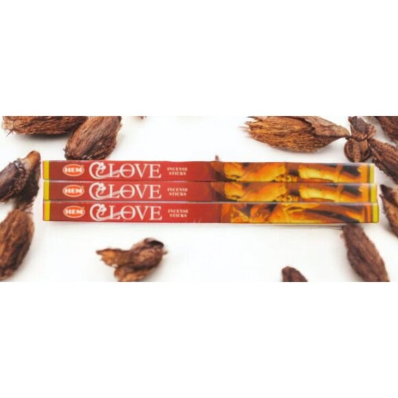 HEM Clove Incense Sticks 3 of 8 Packs Witchy Herbal Aromatherapy Ritual - Picture 1 of 7
